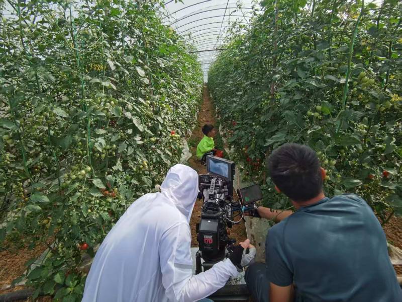 闽清县产品宣传视频拍摄公司进阶指南，助力品牌抢占传播高地